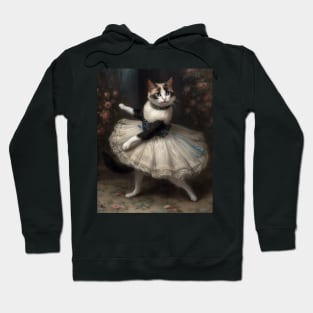 ballet cat 2 Hoodie